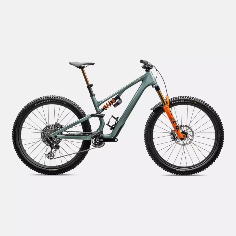 Specialized stumpjumper