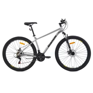Bianchi gris