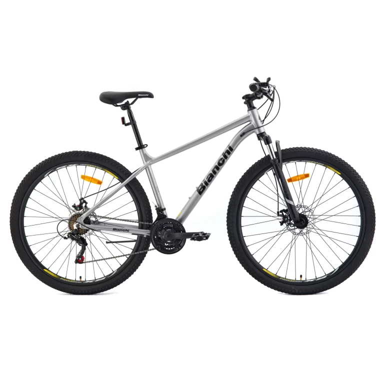 Bianchi gris
