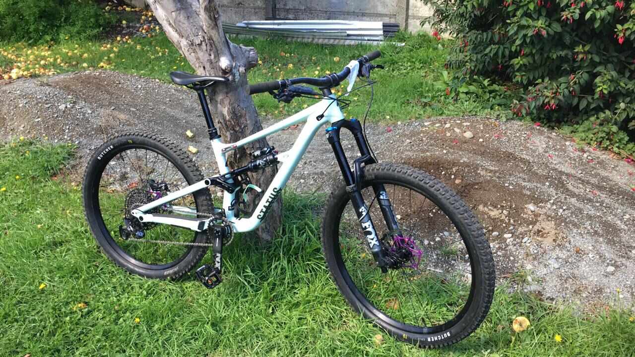 Specialized Status